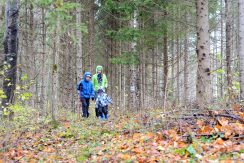 Forest trail “Egļukalns”