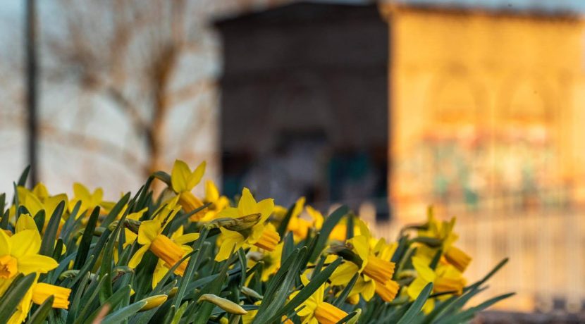 Bruģu ielas promenāde Daugavas labajā krastā