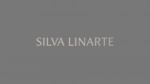 Презентации участников 2-ого международного симпозиума живописи «Силва Линарте» в Арт-центре имени Марка Ротко