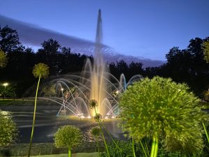 SATURDAY EVENINGS IN DUBROVIN PARK