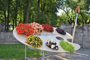 Daugavpils iedzīvotājus un viesus priecē krāšņa ziedu rota (VIDEO)