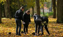 VECSALIENAS MUIŽAS PILS PARKU BAGĀTINA AR JAUNIEM STĀDĪJUMIEM