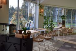 Family mini café-bakery “Nekomimi”