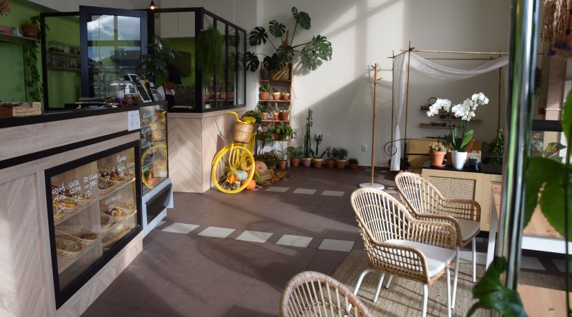 Family mini café-bakery “Nekomimi”