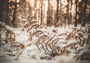 Ziemas pastaigas svaigā gaisā pa Daugavpils novada tūrisma objektiem
