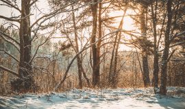 Зимние прогулки на свежем воздухе по туристическим объектам Даугавпилсского края