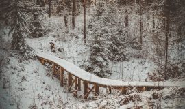 Зимние прогулки на свежем воздухе по туристическим объектам Даугавпилсского края