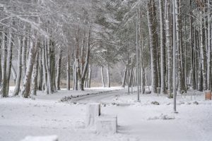 Aktīvas atpūtas iespējas sniegotajā Daugavpilī
