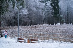 Lielā Stropu ezera promenāde