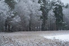 Lielā Stropu ezera promenāde