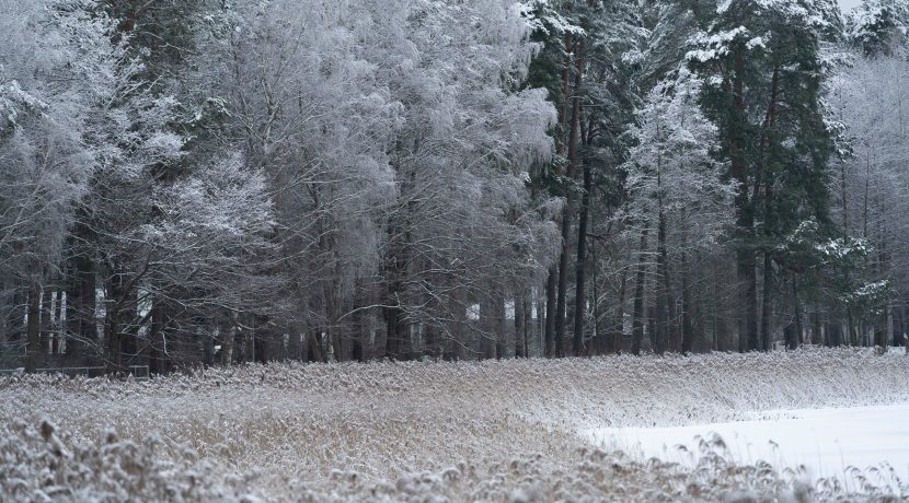 Lielā Stropu ezera promenāde