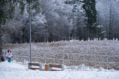 Lielā Stropu ezera promenāde