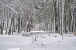 Lielais Stropu Lake Promenade