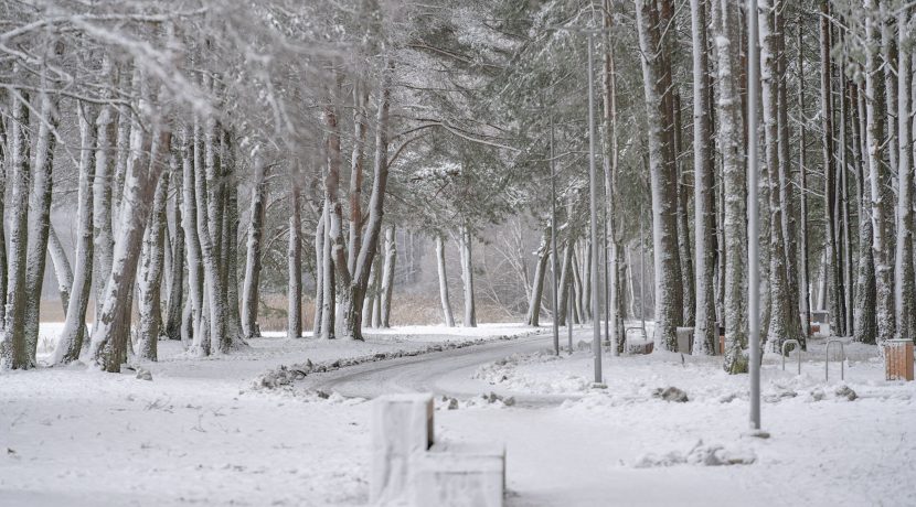 Lielais Stropu Lake Promenade