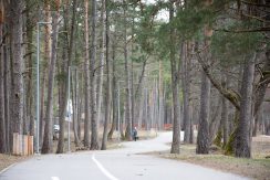 Lielā Stropu ezera promenāde