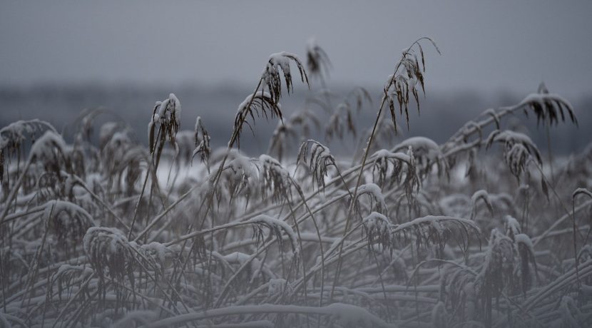 ziema-2021-www.daugavpils.lv-46