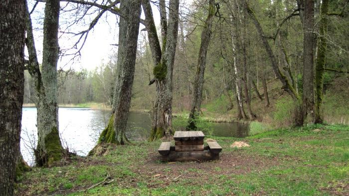 Recreation place near the Sasaļu lake