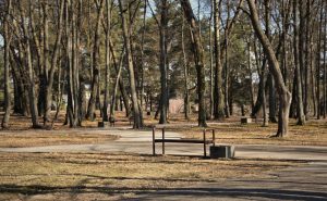 Šovasar Daugavpilī labiekārtos Aizpilsētas parku