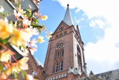 Viewing platform of Martin Luther Cathedral