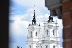 Viewing platform of Martin Luther Cathedral