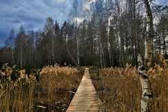 Recreation place near the Gaišezers lake