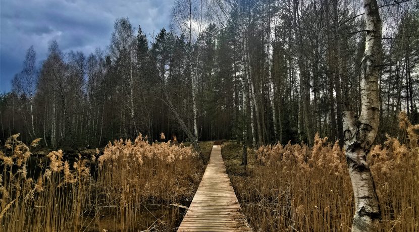 Recreation place near the Gaišezers lake