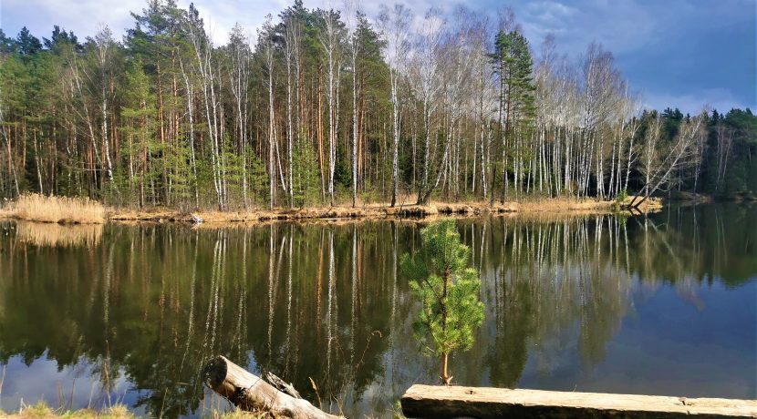 Recreation place near the Gaišezers lake