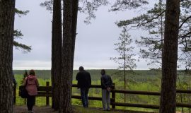 В Даугавпилсском крае открыта новая пешеходная тропа