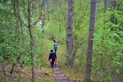 Slutiski ravine trail