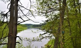 Atklāta jauna pastaigu taka Daugavpils novadā (video)