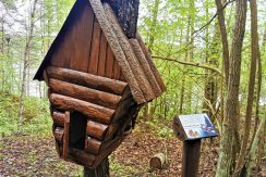 Slutiski ravine trail