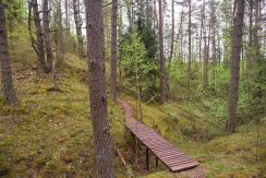 Slutiski ravine trail