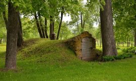 RAIŅA MĀJA BERĶENELĒ AICINA PIEDALĪTIES ZIEDOŠĀ MĀKSLAS PLENĒRĀ (video)