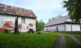 RAIŅA MĀJA BERĶENELĒ AICINA PIEDALĪTIES ZIEDOŠĀ MĀKSLAS PLENĒRĀ (video)