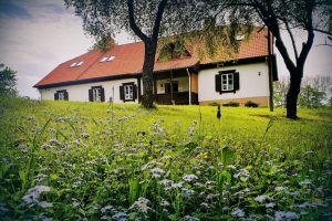 RAIŅA MĀJA BERĶENELĒ AICINA PIEDALĪTIES ZIEDOŠĀ MĀKSLAS PLENĒRĀ (video)