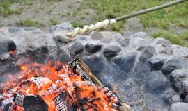 PASTAIGA PA VASARAS SAULGRIEŽU UGUNSKURU TAKU