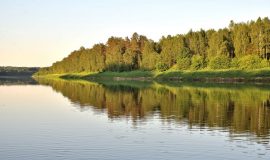 PASTAIGA PA VASARAS SAULGRIEŽU UGUNSKURU TAKU