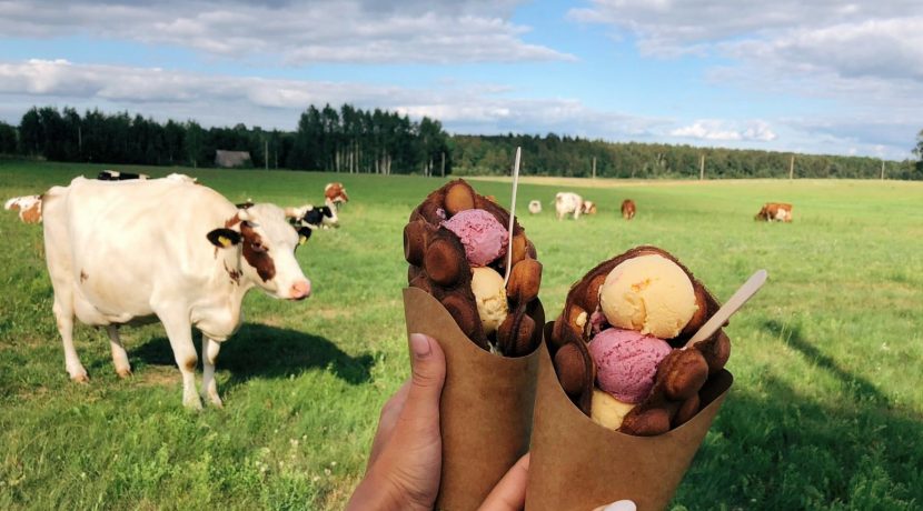 Настоящее Двиетское деревенское мороженое