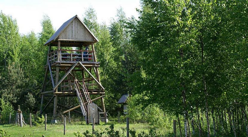 Putnu vērošana dabas parkā „Dvietes paliene”