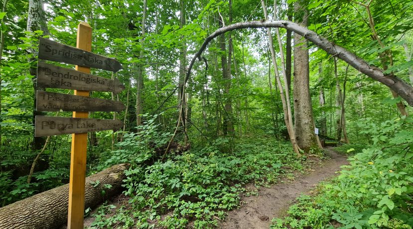 Nature reserve “Pilskalnes Siguldiņa”