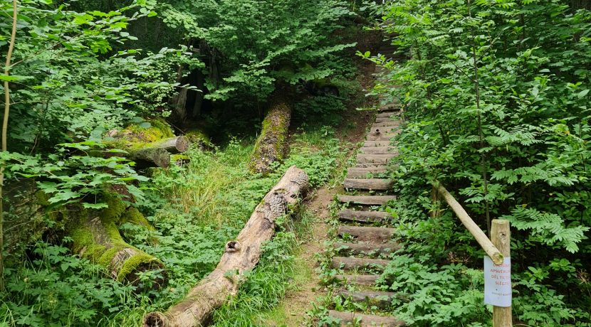 Dabas liegums “Pilskalnes Siguldiņa”