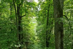 Nature reserve “Pilskalnes Siguldiņa”