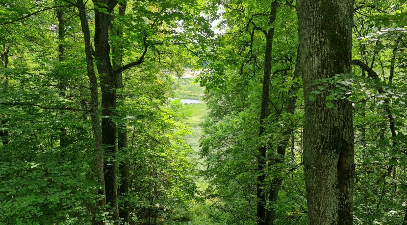 Nature reserve “Pilskalnes Siguldiņa”