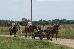 Horseback riding in Bebrene