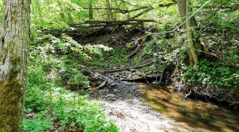 Akmenupe Nature trail