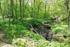 Akmenupe Nature trail