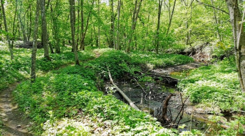 Akmenupe Nature trail