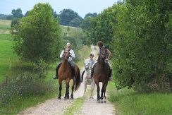 Horseback riding in Bebrene