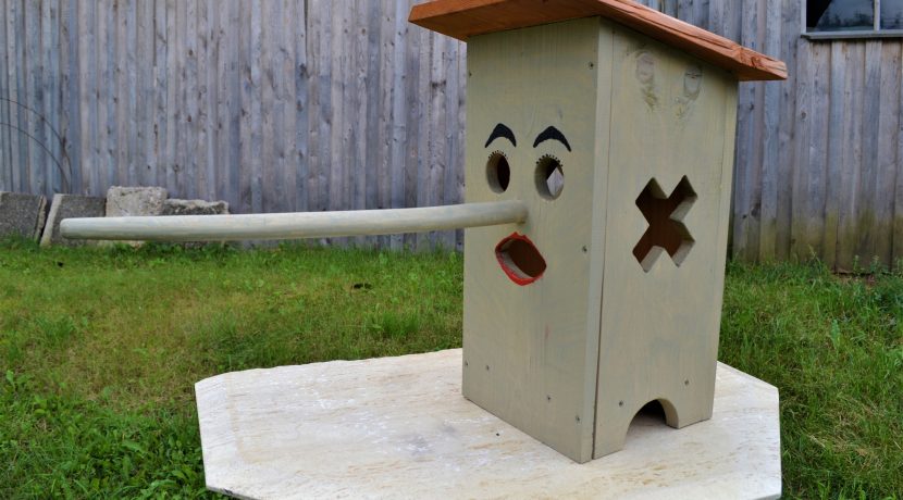 Lauku sēta “Vidzemnieki”