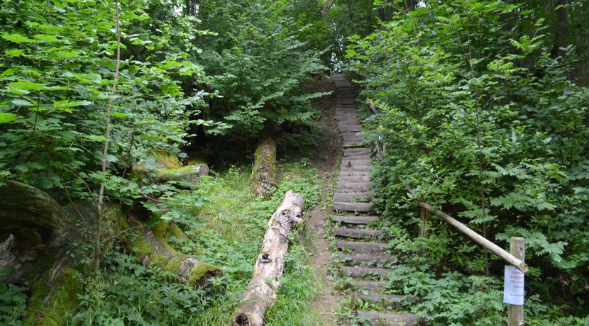 Nature reserve “Pilskalnes Siguldiņa”